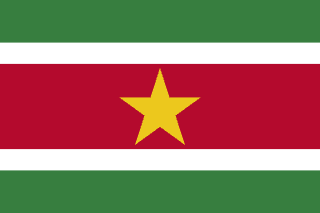 Guide maritime complet du Suriname flag